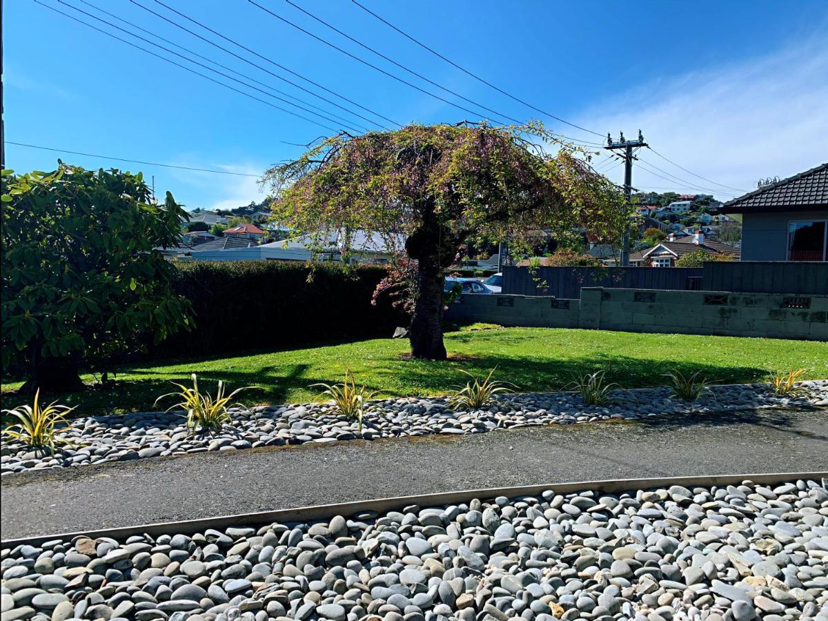 Andersons Bay Holiday House Villa Dunedin Eksteriør billede