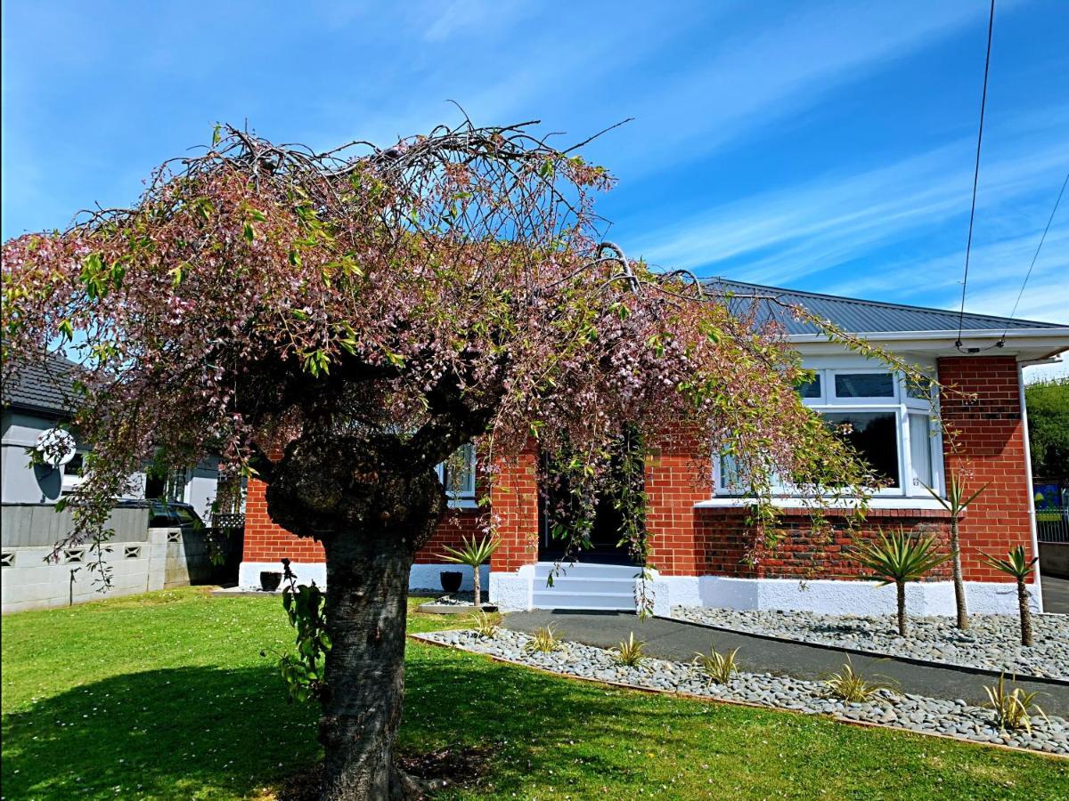 Andersons Bay Holiday House Villa Dunedin Eksteriør billede