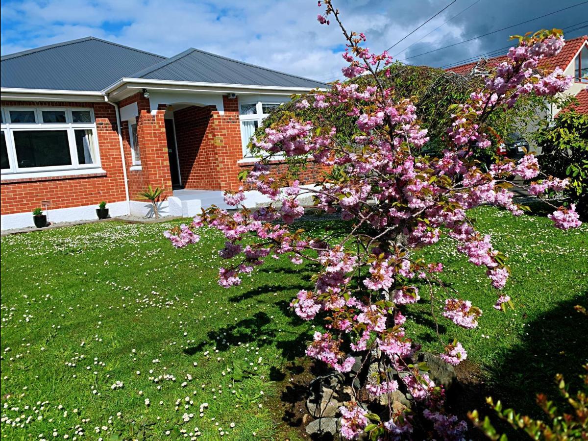 Andersons Bay Holiday House Villa Dunedin Eksteriør billede